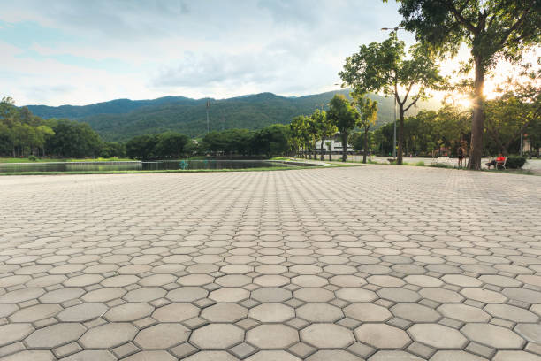 Best Interlocking Driveway Pavers  in Holtville, CA