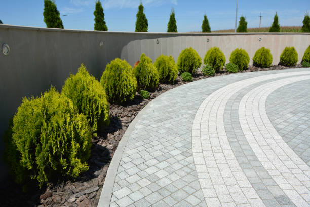Best Interlocking Driveway Pavers  in Holtville, CA